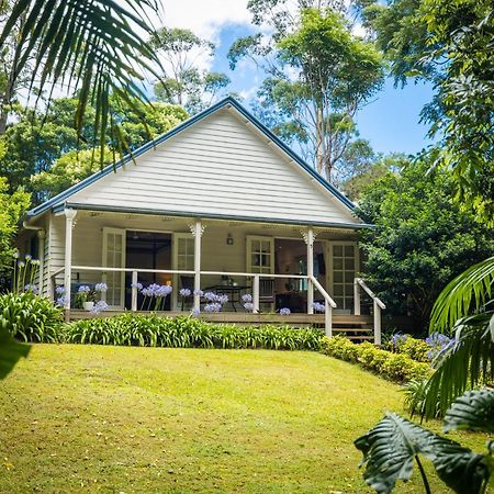 Romantic Cottage, Tamborine Mountain Mount Tamborine Exterior foto