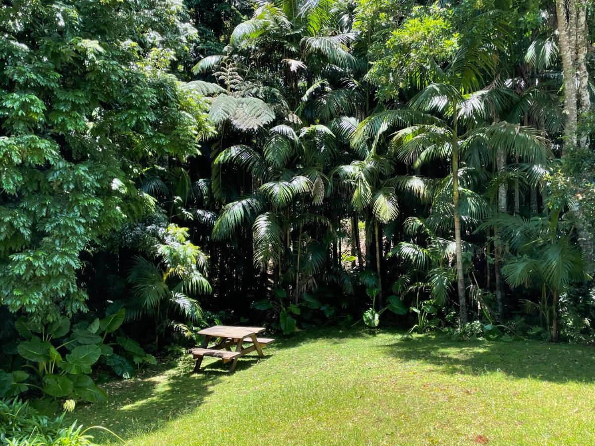 Romantic Cottage, Tamborine Mountain Mount Tamborine Exterior foto