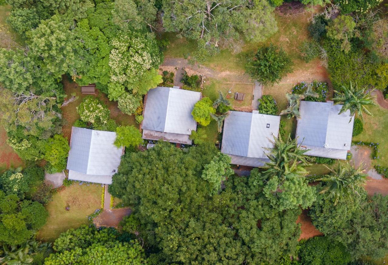 Romantic Cottage, Tamborine Mountain Mount Tamborine Exterior foto