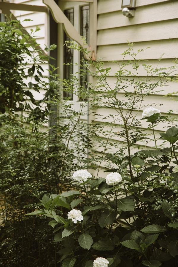 Romantic Cottage, Tamborine Mountain Mount Tamborine Exterior foto