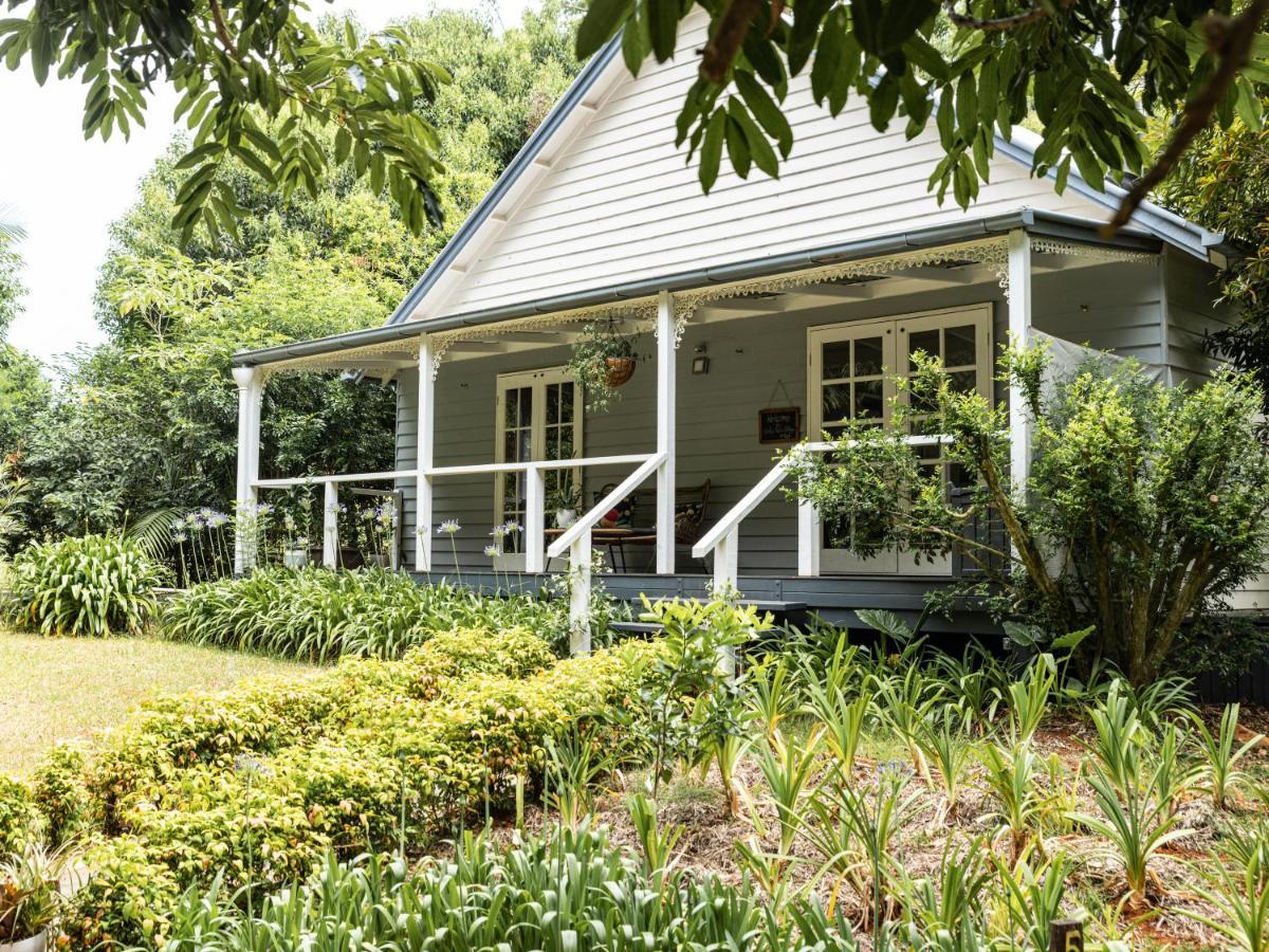 Romantic Cottage, Tamborine Mountain Mount Tamborine Exterior foto